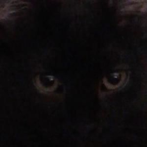 Meet your Posher, Carol